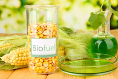 Ainderby Steeple biofuel availability